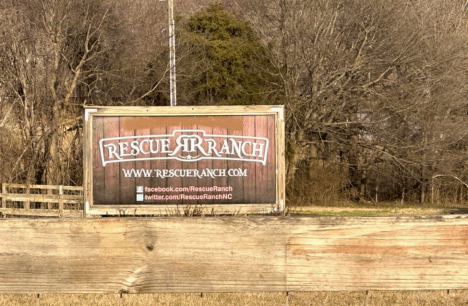 Rescue Ranch